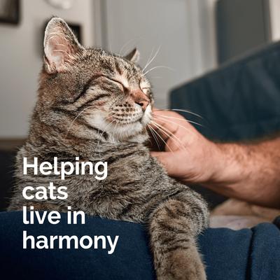 Harmony Pet Calming Home Diffuser Refill for Cats, 2 count