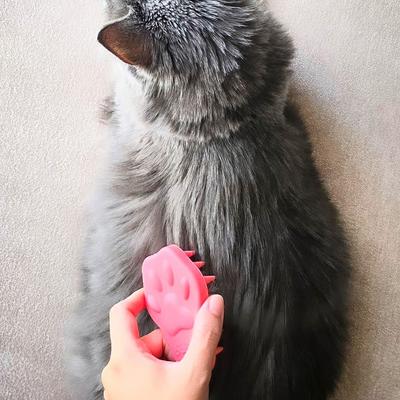 The Bailey Brush Cat Brush, Tickled Ear Pink