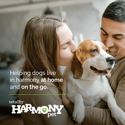 Harmony Pet Calming Home Diffuser Refill for Dogs, 2 count