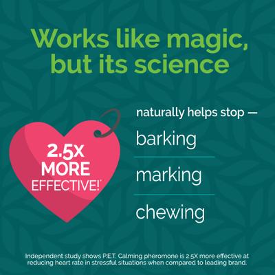 Harmony Pet Calming Home Diffuser Refill for Dogs, 2 count