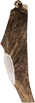 Split Elk Antler Dog Chew, 1 count