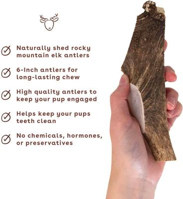 Split Elk Antler Dog Chew, 1 count