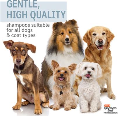 Groomer's Best Professionals 6-in-1 Dog Shampoo, Lavender & Mint Scent, 18-fl oz bottle