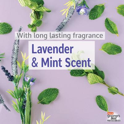 Groomer's Best Professionals 6-in-1 Dog Shampoo, Lavender & Mint Scent, 18-fl oz bottle