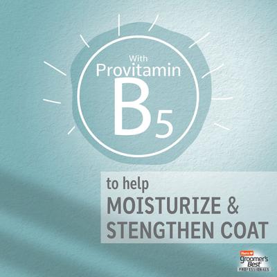 Groomer's Best Professionals 6-in-1 Dog Shampoo, Lavender & Mint Scent, 18-fl oz bottle