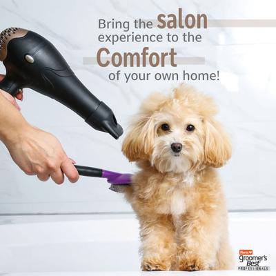 Groomer's Best Professionals 6-in-1 Dog Shampoo, Lavender & Mint Scent, 18-fl oz bottle