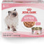 Feline Health Nutrition Kitten Loaf in Sauce Canned Cat Food, 5.1-oz, case of 24
