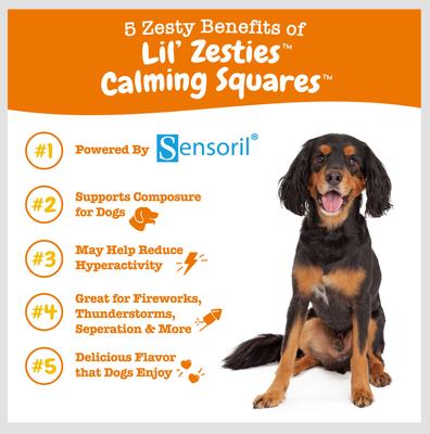 Lil' Zesties Calming Squares - Masticables blandos con sabor a pollo, suplemento de melatonina para perros, bolsa de 20 oz