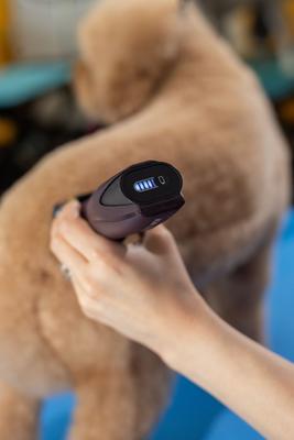 KM Supera Pro Dog & Cat Grooming Clipper, Burgundy