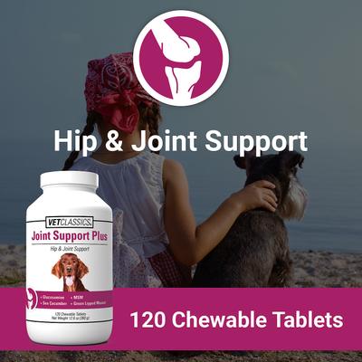 Joint Support Plus Hip & Joint Support Chewable Tablets Dog Supplement, 120 count