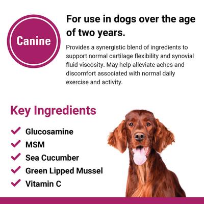 Joint Support Plus Hip & Joint Support Chewable Tablets Dog Supplement, 120 count