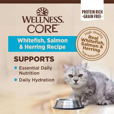 Bundle: Wellness CORE Natural Grain-Free Turkey & Chicken Liver Pate Canned Kitten Food, 3-oz, case of 12 + Wellness CORE Grain-Free Salmon, Whitefish & Herring Pate Canned Kitten & Cat Food, 3-oz, case of 12