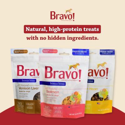 Bonus Bites Salmon Freeze-Dried Dog Treats, 2-oz bag