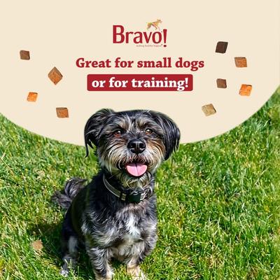 Bonus Bites Salmon Freeze-Dried Dog Treats, 2-oz bag