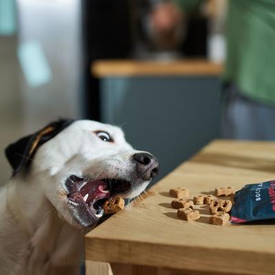 Campfire S'mores Peanut Butter, Carob & Vanilla Recipe Dog Treats, 6-oz bag