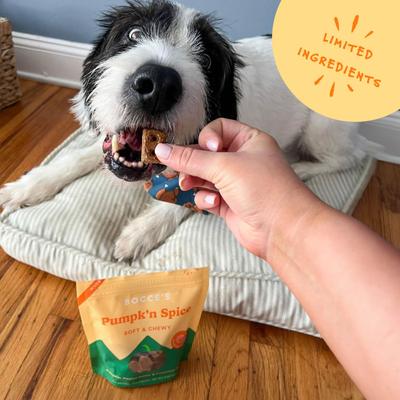 Pumpk'n Spice Pumpkin, PB & Cinnamon Recipe Dog Treats, 6-oz bag