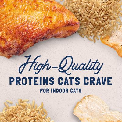 Ultra Premium Indoor Chicken Formula Canned Cat Food, 5.5-oz, case of 24