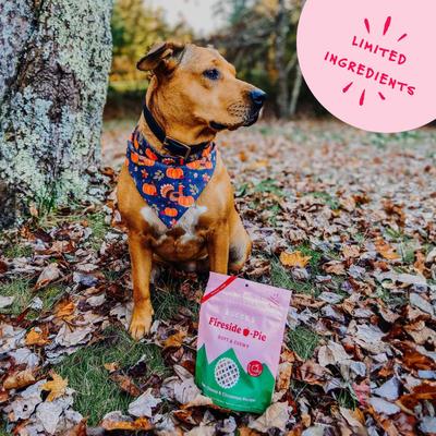 Fireside Apple Pie Apples, Cheese & Cinnamon Recipe Dog Treats, 6-oz bag