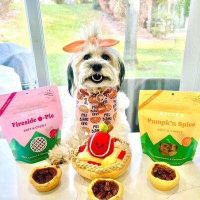 Fireside Apple Pie Apples, Cheese & Cinnamon Recipe Dog Treats, 6-oz bag