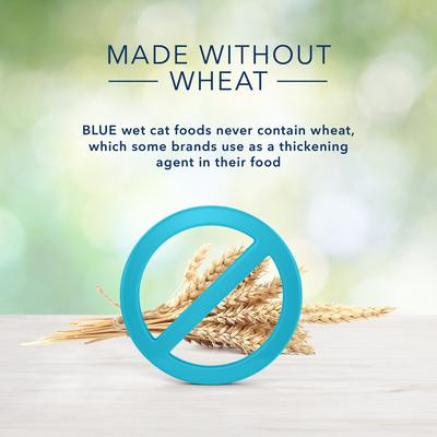 Freedom Indoor Mature Chicken Recipe Grain-Free Canned Cat Food, 5.5-oz, case of 24