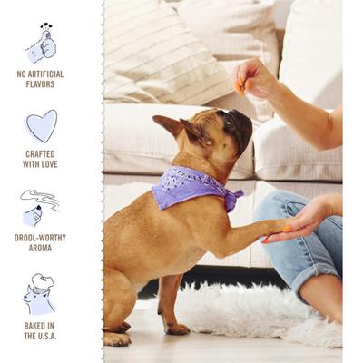 Snacks Jar Pet-zel Bites & Woofers Variety Pack Dog Treats, 49-oz pack