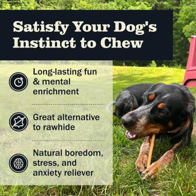 Premio premium para perros Bully Sticks de 7 pulgadas, 1 unidad