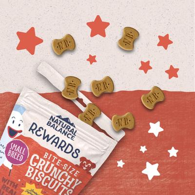 Bundle: Natural Balance Rewards Crunchy Biscuits with Real Bison + Real Salmon Dog Treats