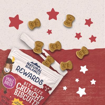 Bundle: Natural Balance Rewards Crunchy Biscuits with Real Bison + Real Salmon Dog Treats