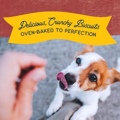 Bundle: Natural Balance Rewards Crunchy Biscuits with Real Bison + Real Salmon Dog Treats