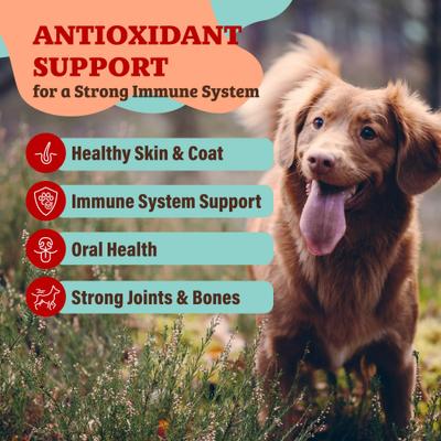 Antioxidant Berry Granules Dog Supplement, 8.47-oz bag