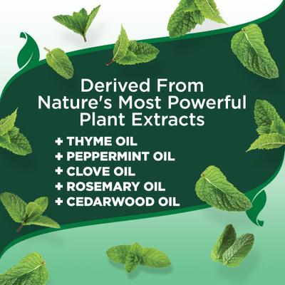 Advanced Strength Flea & Tick Dog Shampoo, 12-fl oz bottle