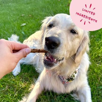 Grazers Beef Jerky Dog Treats, 4-oz pouch