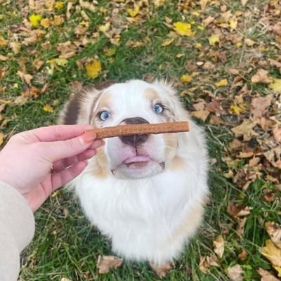 Golosinas de pollo seco para perros Grazers, bolsa de 4 oz