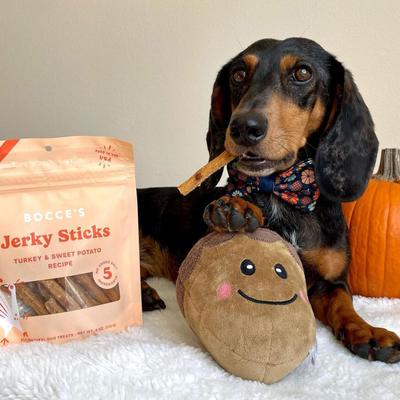 Grazers Turkey Jerky Dog Treats, 4-oz pouch