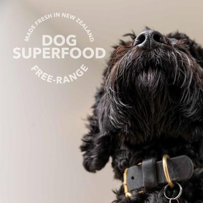 Beef Green Tripe Booster Digestive Supplement for Dogs, 8.8-oz bag