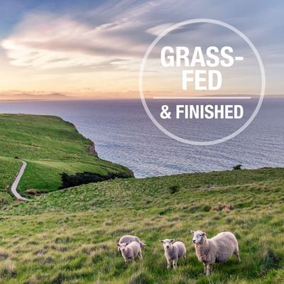 Beef Green Tripe Booster Digestive Supplement for Dogs, 8.8-oz bag