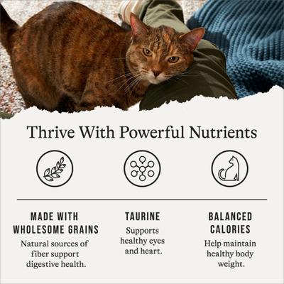 Indoor Cat Total Health Formula Chicken & Brown Rice Recipe Dry Cat Food, 45-lb bundle