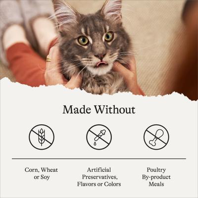 Indoor Cat Total Health Formula Chicken & Brown Rice Recipe Dry Cat Food, 45-lb bundle