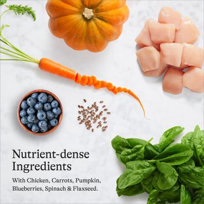 Indoor Recipe with Chicken Grain-Free Dry Cat Food, 24-lb bundle