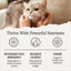 Indoor Recipe with Chicken Grain-Free Dry Cat Food, 24-lb bundle