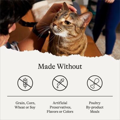 Chicken Recipe Grain-Free Dry Cat Food, 36-lb bundle