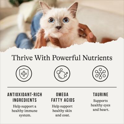 Chicken Recipe Grain-Free Dry Cat Food, 36-lb bundle