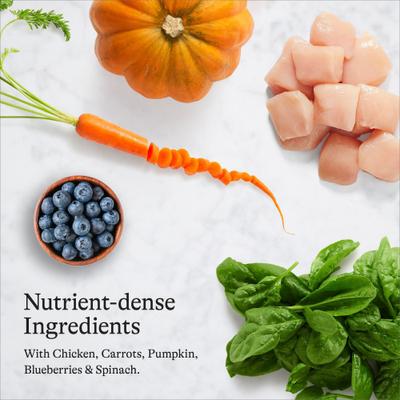 Chicken Recipe Grain-Free Dry Cat Food, 36-lb bundle