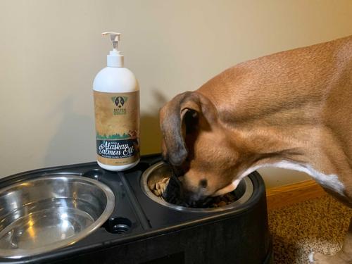 Wild Alaskan Salmon Oil Dog Supplement, 16-fl oz bottle