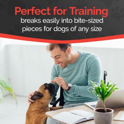 Canine Gourmet Beef Sticks Jerky Dog Treats, 16-oz bag