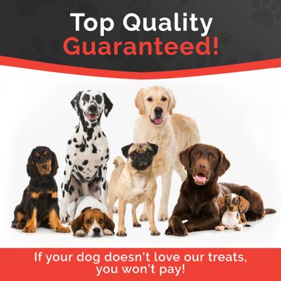 Canine Gourmet Beef Sticks Jerky Dog Treats, 16-oz bag