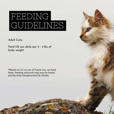 Premium Tuna & Ocean Fish Formula in Aspic Grain-Free Wet Cat Food, 5.5-oz, case of 24