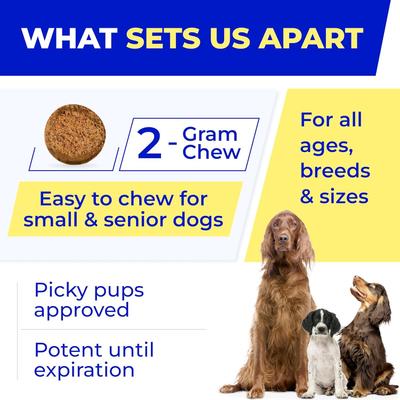 Digestive Enzymes Prebiotics Fiber Chews Supplement for Dogs, 120 count