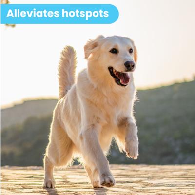 Hidratante orgánico hipoalergénico para perros que alivia la picazón, botella de 2 onzas líquidas