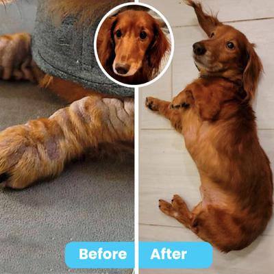 Organic Hypoallergenic Itch Soother Dog Moisturizer, 2-fl oz bottle